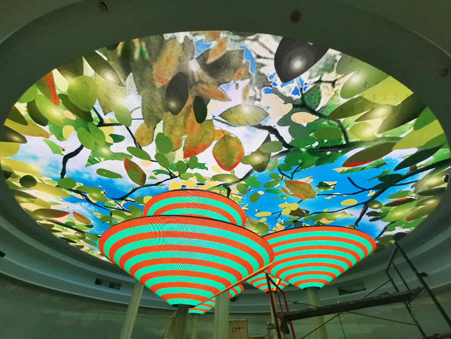 蕉岭长命之乡某展馆