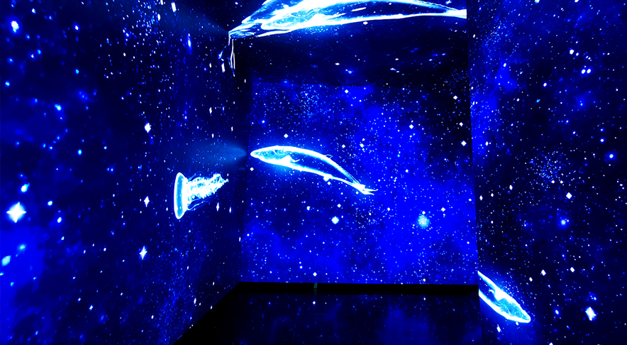 浙江衡阳老水厂