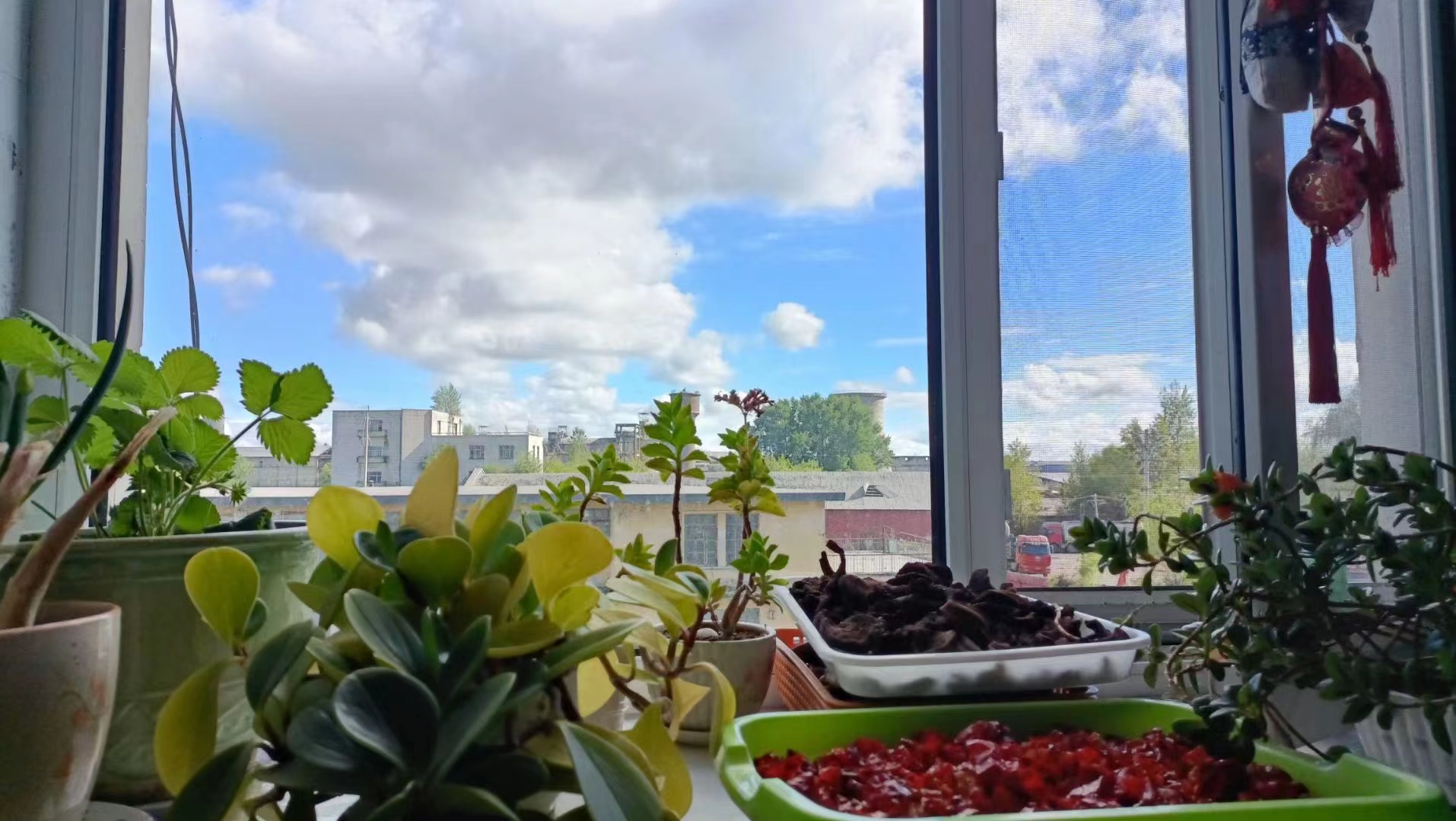 中国·太阳集团tyc86(股份有限公司)-Official website