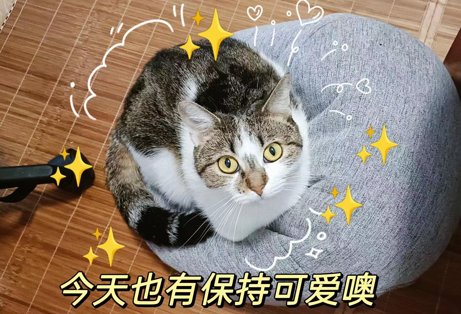 中国·太阳集团tyc86(股份有限公司)-Official website