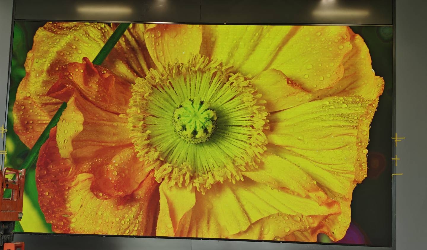 信阳某公司一楼LED大屏