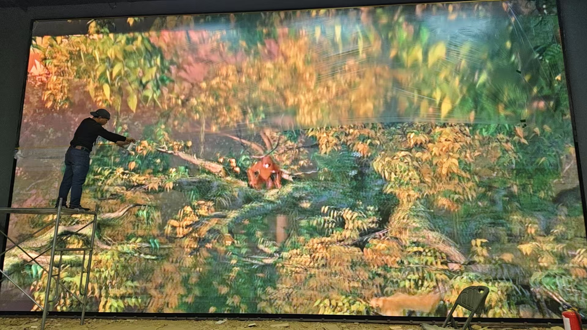 香港队列3D展厅